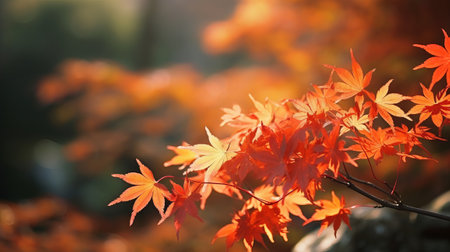 Unprecedented maple clears out in collect time sunny day in frontal zone and foggy foundation. Creative resource, AI Generatedの素材