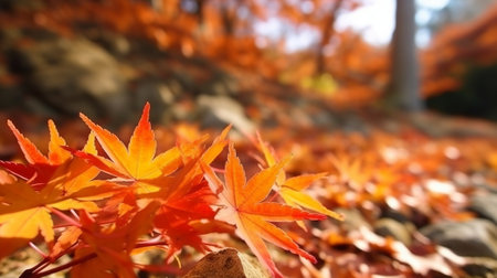 Unprecedented maple clears out in collect time sunny day in frontal zone and foggy foundation. Creative resource, AI Generatedの素材