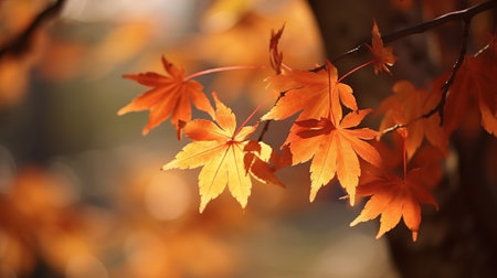 Unprecedented maple clears out in collect time sunny day in frontal zone and foggy foundation. Creative resource, AI Generatedの素材