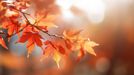 Significant maple clears out in collect time sunny day in frontal zone and foggy establishment. Creative resource, AI Generatedの素材