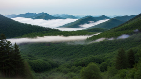 batch afforest fog morning mystic. Creative resource, AI Generatedの素材
