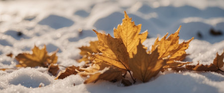 AI Generated. Beautiful golden autumn leaves in winter on snow close-up macro Snowdriftの素材