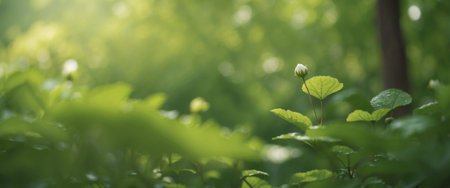 AI Generated. Beautiful natural spring summer defocused background with fresh lush foliage and bokeh in natureの素材