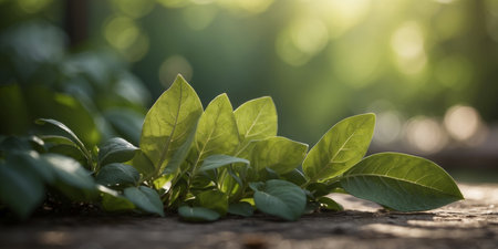 AI Generated. Serene green foliage with soft shadows and ambient light in natural backgroundの素材
