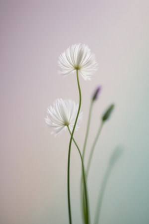 AI Generated. Floral Silhouette in Soft Pastel Backgroundの素材