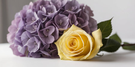 AI Generated. Golden Elegance Single Yellow Rose Blossom Nestled Among Vivid Purple Hydrangea Flowersの素材