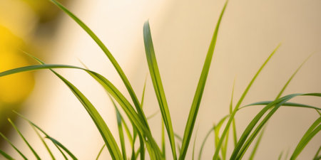 AI Generated. green and yellow grass in the foregroundの素材