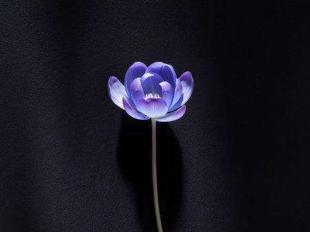 AI Generated. Purple and Blue Flower on Black Backgroundの素材