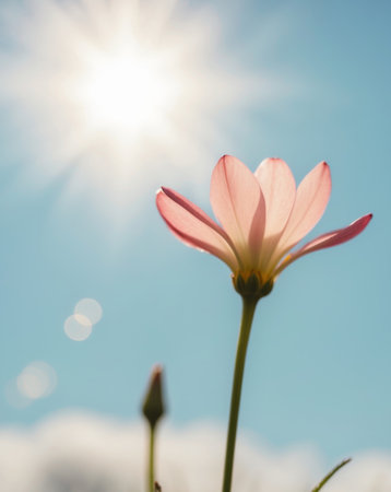 AI Generated. Pink flower blooming under a bright sun in a clear blue skyの素材