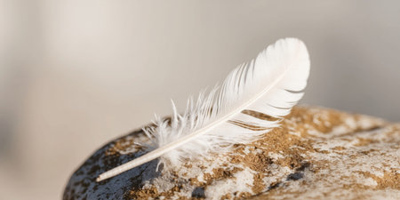 AI Generated. A white feather sitting on top of a rockの素材