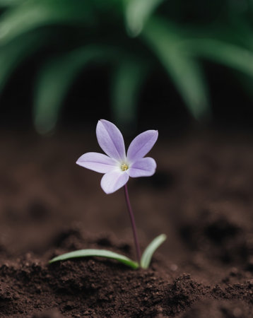 AI Generated. A Single Purple Flower Lying on a Bed of Dark Soil with a Blurry Green Backgroundの素材