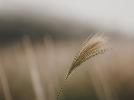 AI Generated. a close up of a piece of grass on a piece of landの素材