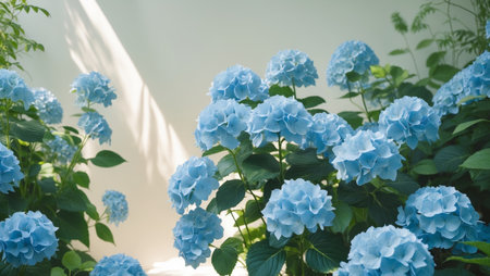 AI Generated. Periwinkle Blue Hydrangeas A lush garden filled with periwinkleの素材
