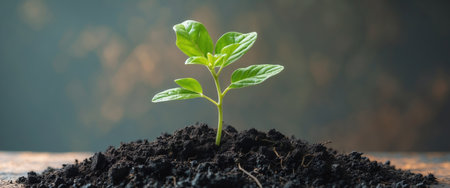 AI Generated. Young green plant growing out of black soilの素材