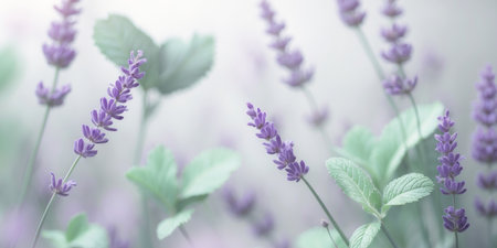 AI Generated. Elegant lavender and mint shapes create a serene backdrop in a tranquil garden settingの素材