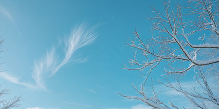 AI Generated. Winter Snow Covered Trees Bright Blue Skyの素材