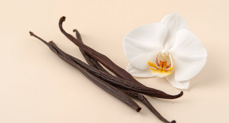 An elegant arrangement featuring fragrant vanilla beans paired with a pristine white orchid. This image captures the essence of beauty and culinary delight.の素材