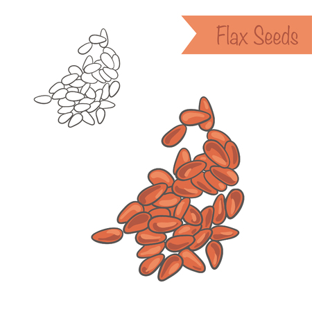 Hand drawn outlined and colored flax seedsのイラスト素材