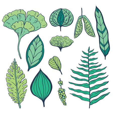 Trendy spring design. Hand drawn vector set with leaves and nature elementsのイラスト素材