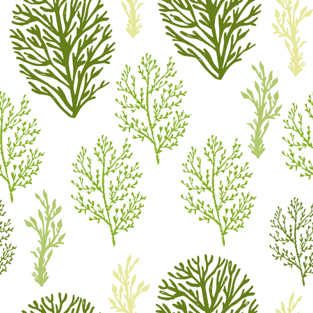 Trendy summer seaweed design. Seamless vector pattern.のイラスト素材