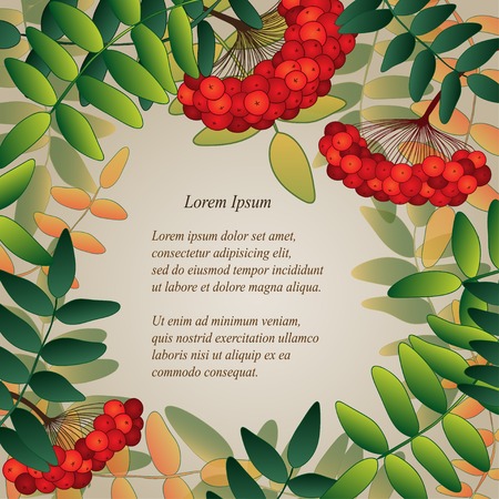 Background with rowan berries, leaves and place for your text.のイラスト素材