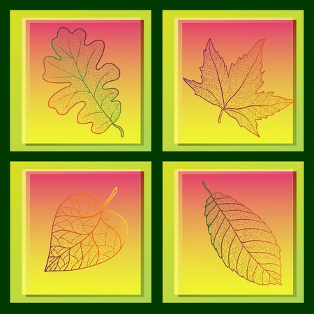 Doodle brochure beauty template card for background, backdrop, gift, invitation, banner, design element.のイラスト素材