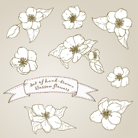 Set of hand drawn apple flowers.のイラスト素材