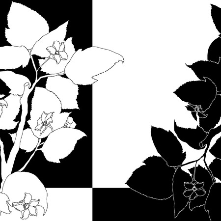 Black and white background with flowering apple tree.のイラスト素材