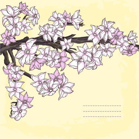 Branch of hand drawn cherry blossomのイラスト素材