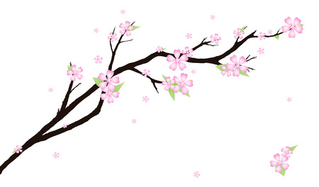 Background with stylized cherry blossom.のイラスト素材
