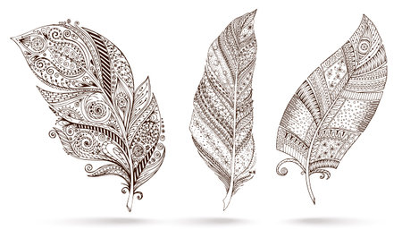 Artistically drawn, stylized, vector set of three feathers on a white background. Vintage tribal feather. Illustration is created from a personal sketch by trace. Series of doodle feather.のイラスト素材