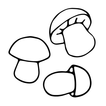 Set of hand drawn vector mushrooms. Black simple outlines isolated on white. Doodle style. Illustration for coloring book design, seasonal autumn cards and the theme of thanksgiving.のイラスト素材