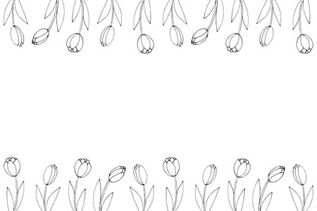 Spring flowers. Frame from outline tulips. Vector doodle hand drawn isolated. Horizontal top and bottom edging, border, decoration for greeting card, invitation, Valentine's, Women's or Mother day.のイラスト素材