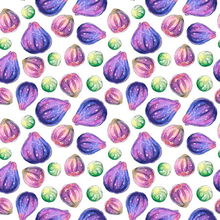 Seamless pattern of watercolor figs on the white background. Hand drawn bright backdrop texture, images of berry, fruit in sketch style. For invitations, scrapbooking, food design.の写真素材