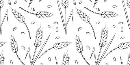 Wheat spikelets and grains, vector seamless pattern. Outline drawn in sketch style isolated. Design of print, wrapping paper, packaging on theme of bakery products, flour, harvest, thanksgiving.のイラスト素材