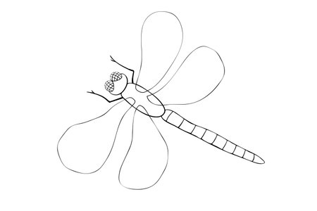 Vector outline black dragonfly in Doodle style, isolated on white background. Simple nature design element, clipart for spring, summer, postcard, coloring book. template for creativityのイラスト素材