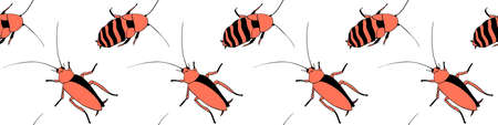 Vector seamless pattern from oriental and madagascar cockroaches, beetles, insects. Pest control background and texture.のイラスト素材