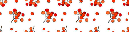 Vector seamless pattern of bunches of rowan red berries, viburnum. Bright texture in doodle flat...