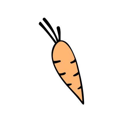 Carrot vector drawing icon. Simple color clip art vegetable in doodle style, outline illustration of farm product.のイラスト素材