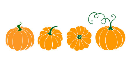 Set of vector color pumpkin in flat style, isolated. Symbol Halloween, autumn, crop, thanksgiving day, fruitful year.のイラスト素材
