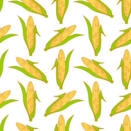 Maize Seamless pattern. Vector Vegetable background. Hand drawn doodle Corn cobs and corn grainsのイラスト素材