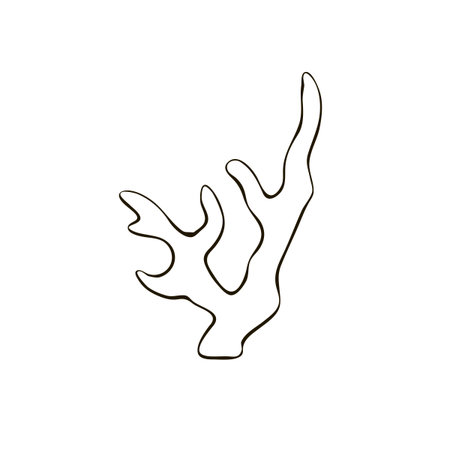 Outline Coral. Underwater hand drawn clip art, ocean plants, coral elements, algae. Vector illustration.のイラスト素材