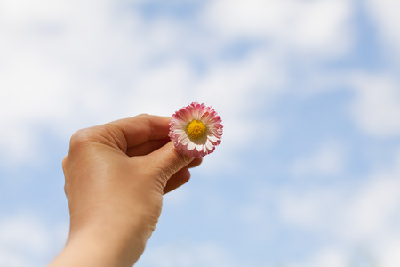 woman hand holding a Daisy against of the blue sky with clouds, freedom, peace, hope, trust and purity conceptの写真素材
