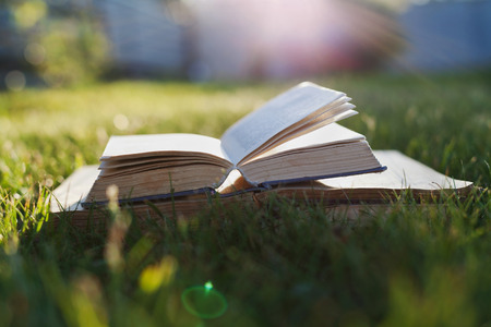 Open book on a green grass against beautiful sunset lights with sun ray, selective focus and shallow dofの写真素材