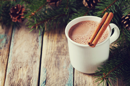 Cup of hot cocoa or hot chocolate on wooden background with fir tree and cinnamon sticks, traditional beverage for winter time, vintage toning