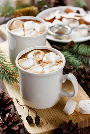 vintage hot Cup of cocoa or chocolate with marshmallows on wooden background decorated with spruce, cinnamon sticks and pine conesの写真素材