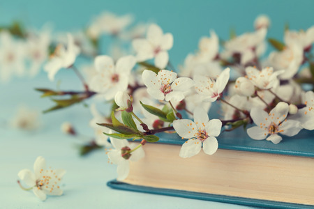 Cherry blossoms and old book on turquoise background, beautiful spring flower, vintage card, selective focusの写真素材