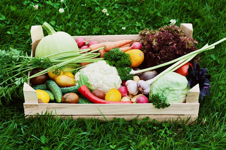 Wooden box with a crop of vegetables and harvest of root on the background of the grass. Fresh and organic food.の写真素材