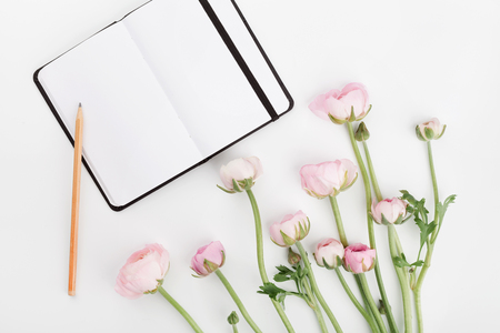 Beautiful spring Ranunculus flowers and empty notebook on white table from above. Mockup. Pastel color. Clean space for text. Flat lay style.の写真素材