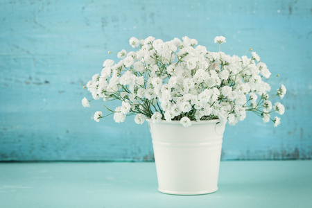 Beautiful gypsophilla flower in white vase on turquoise vintage table.の写真素材